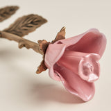 2754_7.jpg