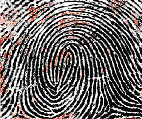 Ethics and the choice of cremation