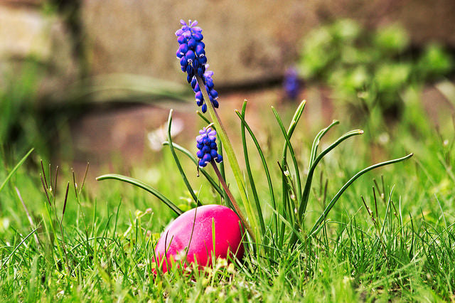 Cultural Rituals of Spring and Easter and Their Significance โ OneWorld ...