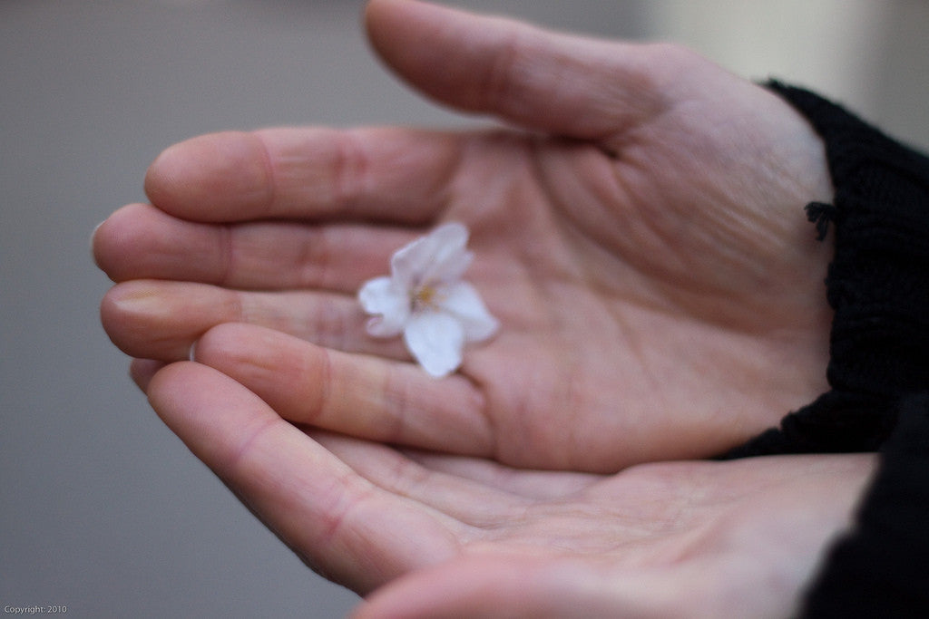 adult hand holding a small flower in remembrance 