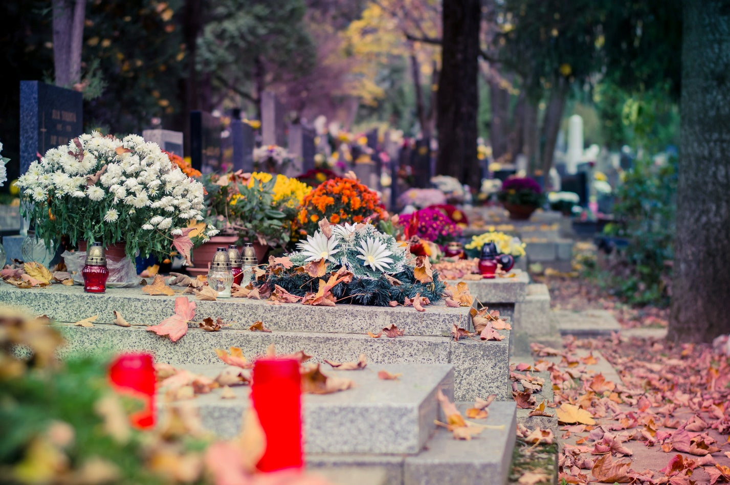 Cremation vs. Burial: Which is Right For You?