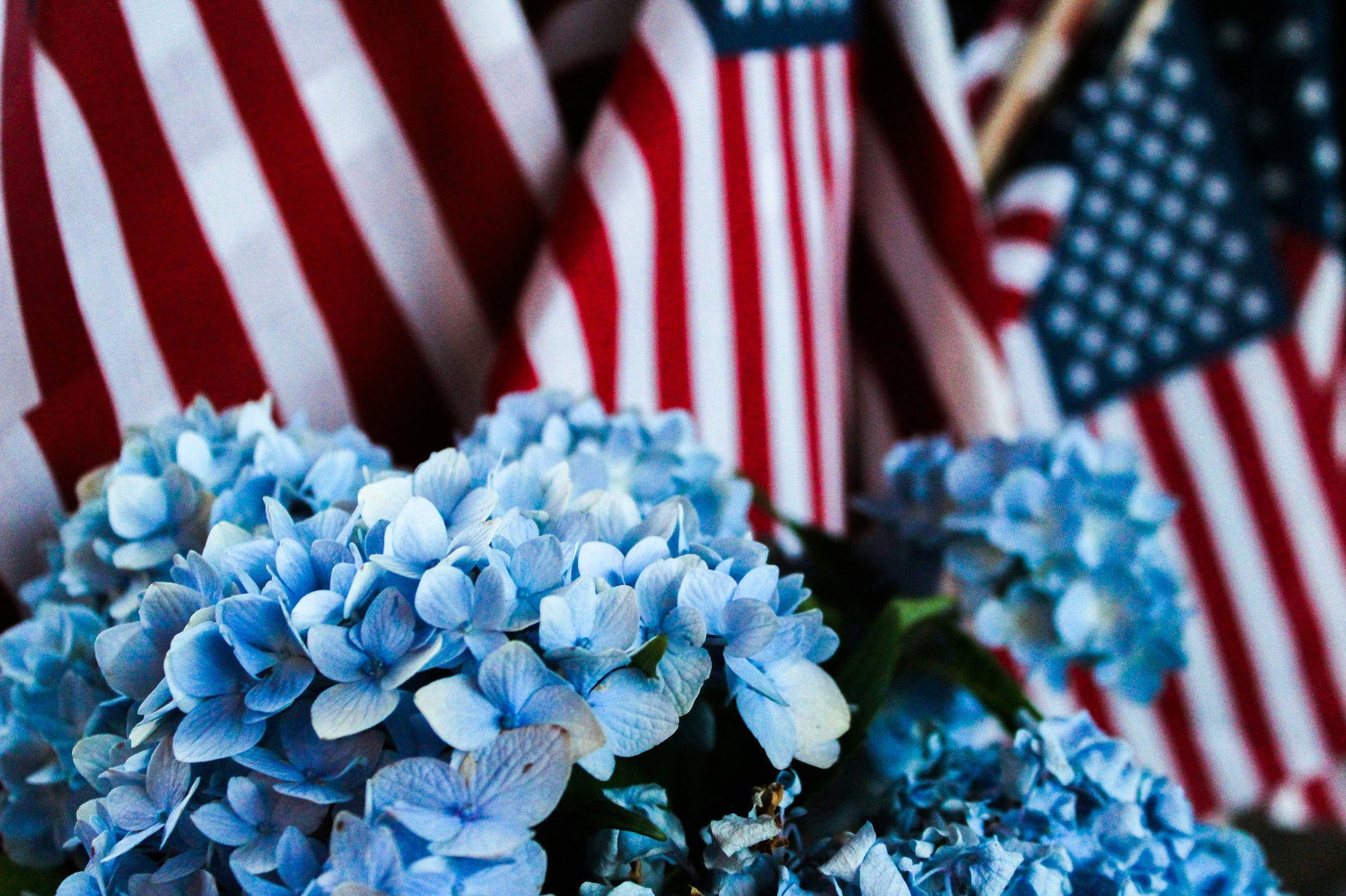 Honoring Those Who Fought for Our Independence: A July 4th Tribute