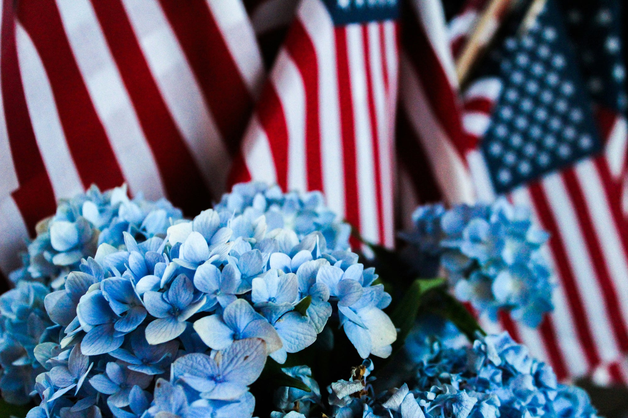 Honoring Those Who Fought for Our Independence: A July 4th Tribute