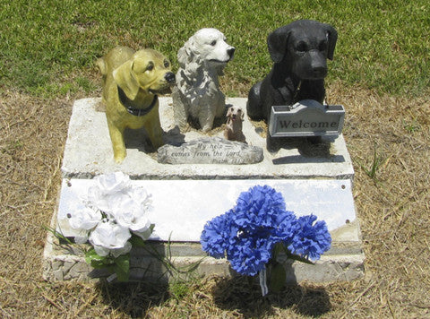 Pet Cremation and Pet Ashes: Do Your Homework