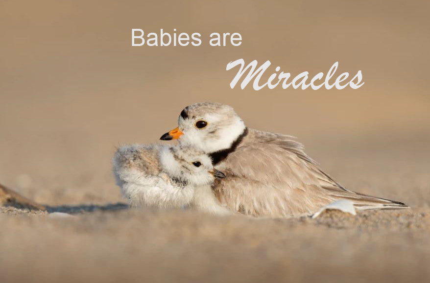 Infant and Child Cremation Urns