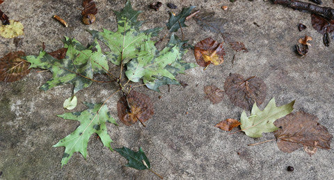 Broken Heart Syndrome Can Kill You