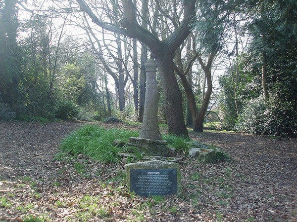 Choosing to Cremate or Not