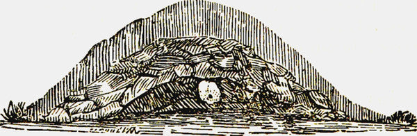 Choosing a Natural Burial and Creating a Memorial Planting