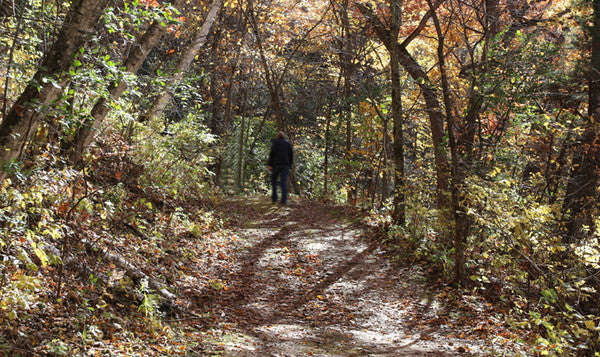 Scattering Gardens: Spaces of Fond Remembrances