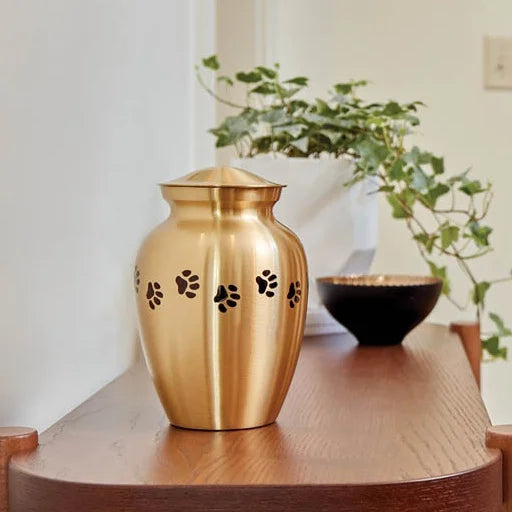 A brushed gold pet urn with laser-cut paw print details, displayed on a wooden console table in the home.