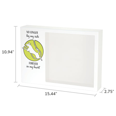 Forever Tennis Ball Shadowbox Pet Urn