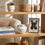 Metal pet cremation urn for cats and dogs in a home decor setting.