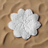 Floating White Lily Biodegradable Urn