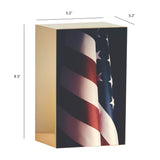 Memorial Patriot Tribute Full Size Cremation Urn in Gold