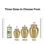 Classic Expressions: "Best Cat Ever" Bronze Pet Urn in Petite