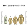 Classic Expressions: "You Left Paw Prints" Bronze Pet Urn In Petite