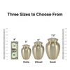 Classic Expressions: "Best Cat Ever" Pewter Pet Urn In Extra Small