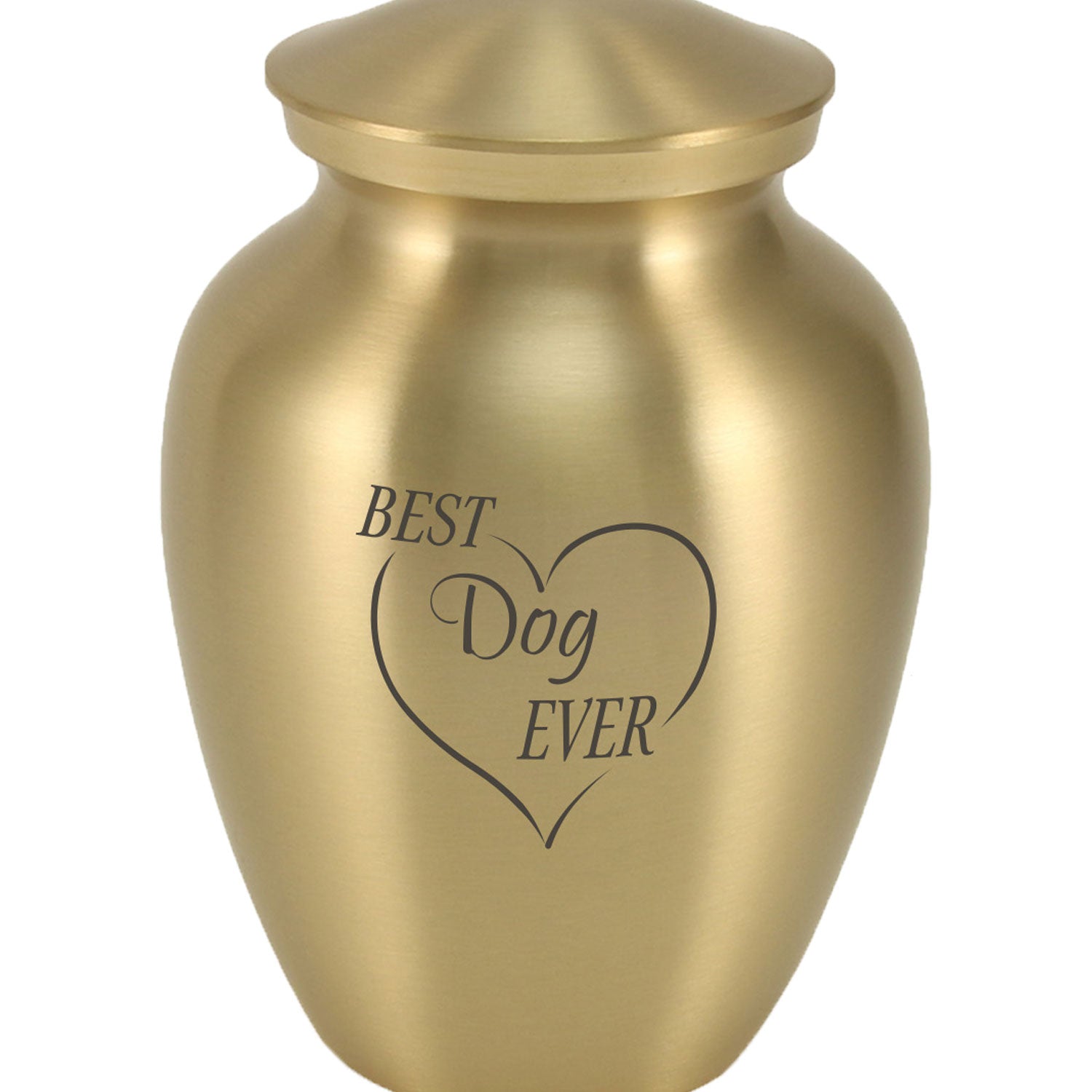 Best shop pet urns
