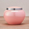 Odyssey Pink Pet Urn in Petite