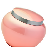 Odyssey Pink Pet Urn in Medium