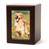 Cherry MDF Pet Photo Cremation Urn in Medium