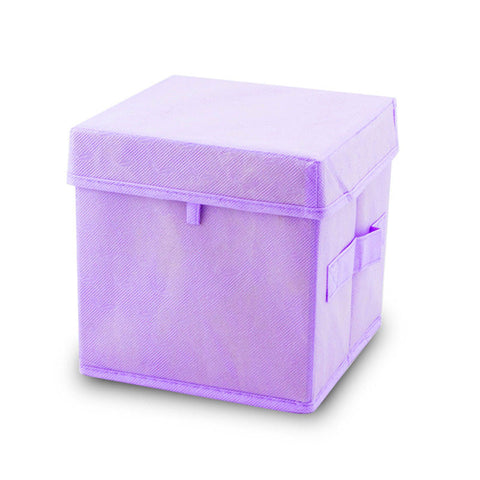 Purple Simplicity Biodegradable Pet Urn - Extra Large