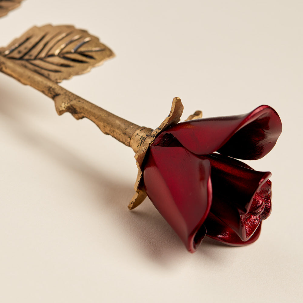 Crimson Red Rose Stem Keepsake Urn for Ashes Close Up Red Rose