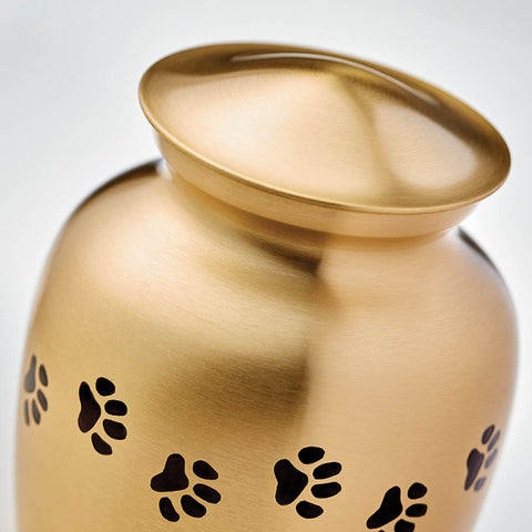 Bronze Paw Cremation Urn - Small