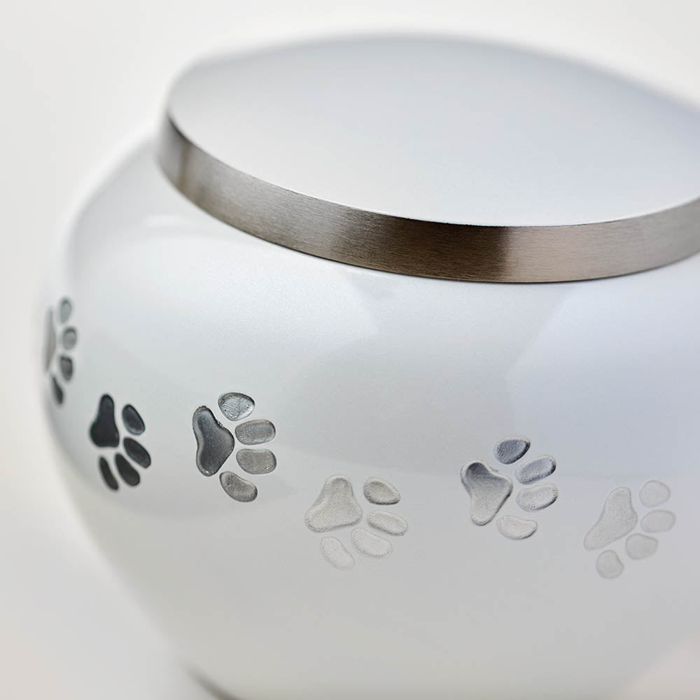 Odyssey Pearl Pet Urn in Extra Small Cremation Urn for Dogs and Cats