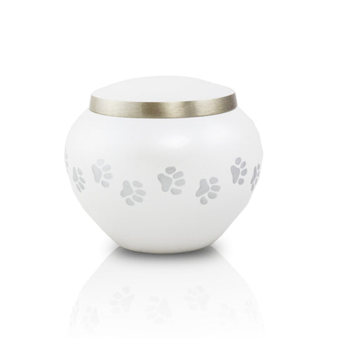 Pearl Extra Small Odyssey Pet Urns