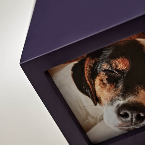 Violet Photo Cube Cremation Urn - Extra Small