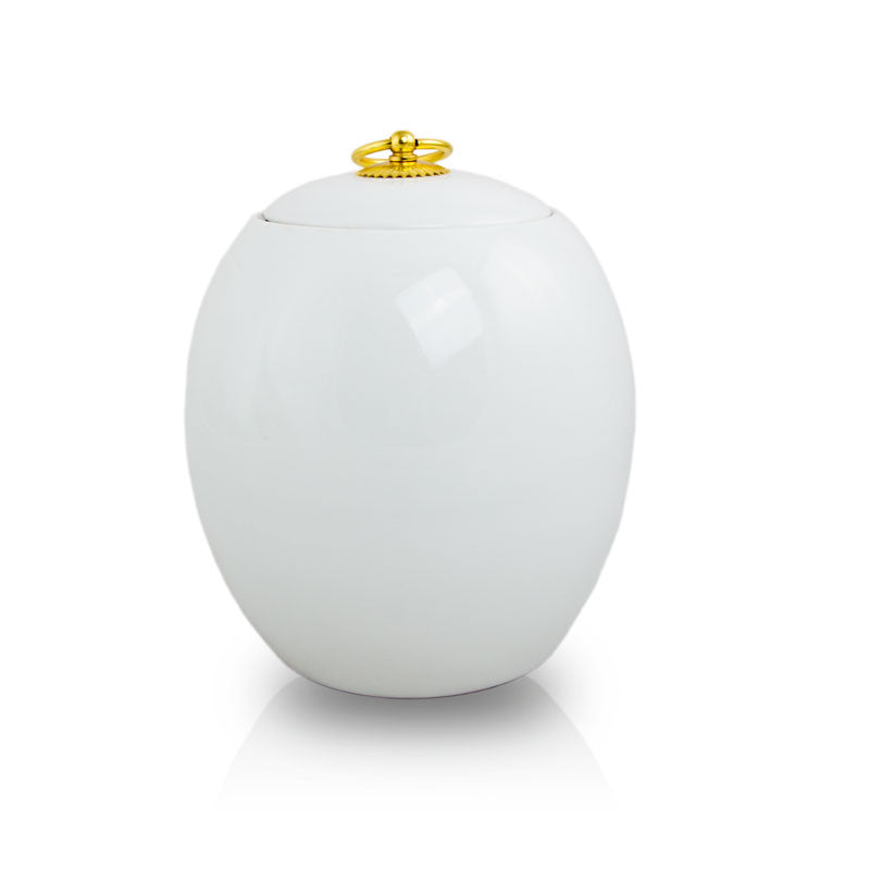 Simple White Oval Cremation Urn - Medium