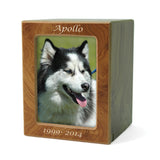 Medium MDF Pet Photo Cremation Urn