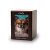 Cherry MDF Pet Photo Cremation Urn - Extra Small