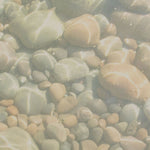 Large Tranquility Scattering Urn