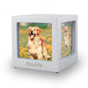 Silver Pet Photo Cube Urn - Small