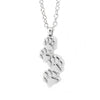 Stainless Steel Cremation Necklace - Paw Prints
